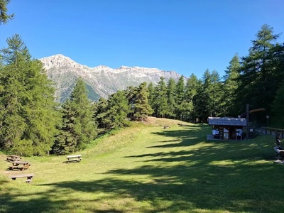 Punto info Ser Blanc Parco naturale Gran Bosco di Salbertrand