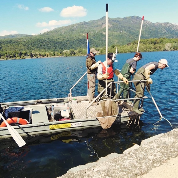 Attività di elettro\u002Dpesca sul Lago Grande di Avigliana.