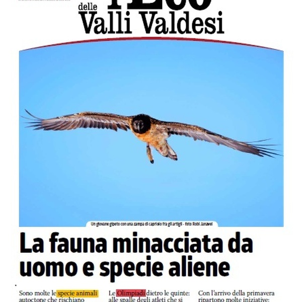 Eco delle Valli Valdesi