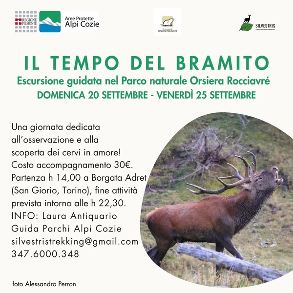 Locandina evento