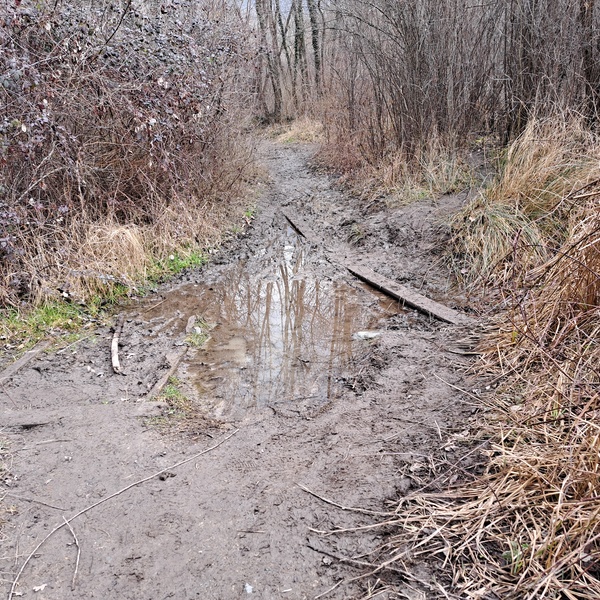 Une situation de dégradation sur le sentier qui longe le lac Piccolo d\u0027Avigliana.