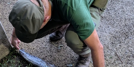 Un individuo di pesce siluro pescato durante una sessione notturna.