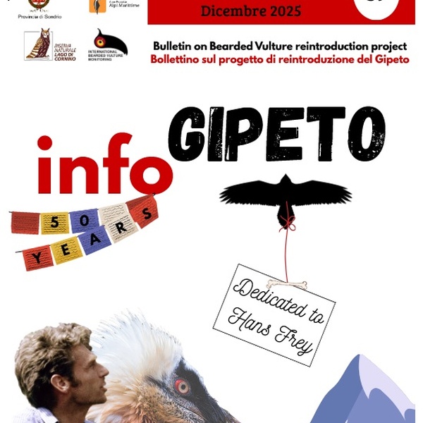 Copertina Info Gipeto n.39