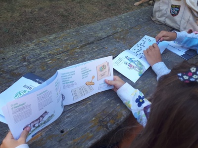 Activités pédagogiques dédiées au loup \u002D kit pédagogique