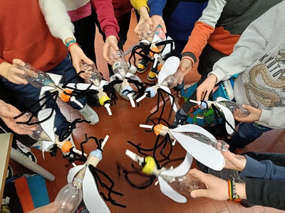 Activities in the classroom during the mosquito project.