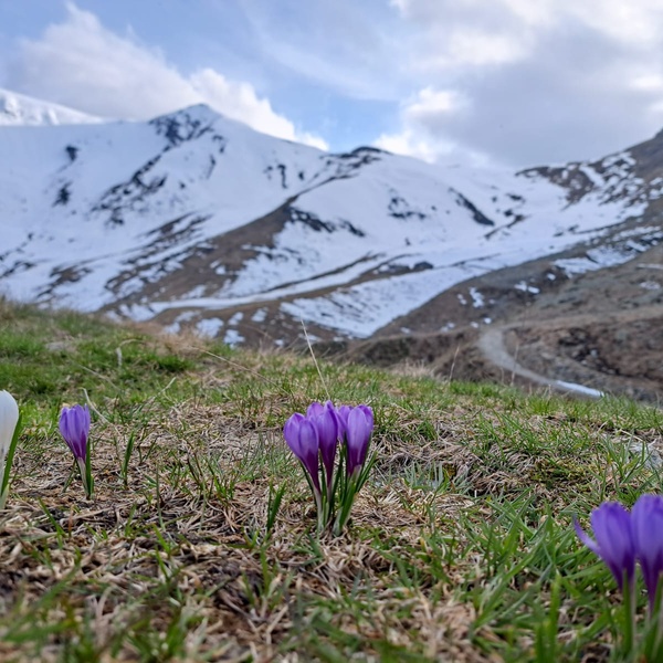 Primavera in Val Sangone