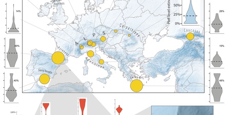 In the image from the article published in \u0022Science,\u0022 figure A shows the distribution of the sampled sites. The sizes of the circles indicate the average proportion of local extinctions from 2001 to 2022 across all plots in a given mountain region. The violin plots display the distribution of extinction rates at the plot level. In figures B and C, the distribution of sites in each mountain region can be observed.