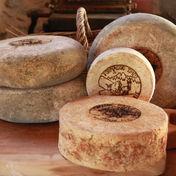 Formaggio tipico Parchi Alpi Cozie