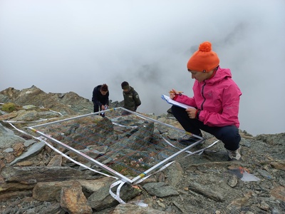An image of the surveys conducted as part of the Gloria Project.