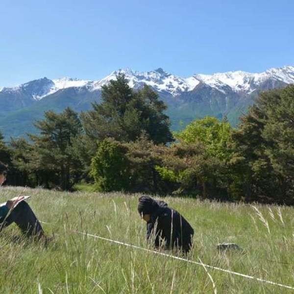 Rilievi di monitoraggio delle orchidee