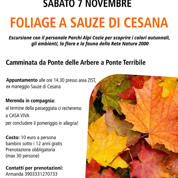 Locandina evento