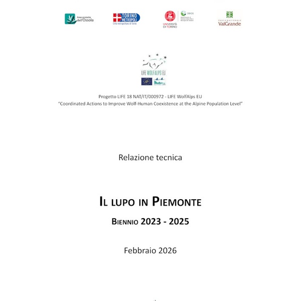 Le frontispice du rapport