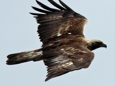 In volo nei cieli della Val di Susa