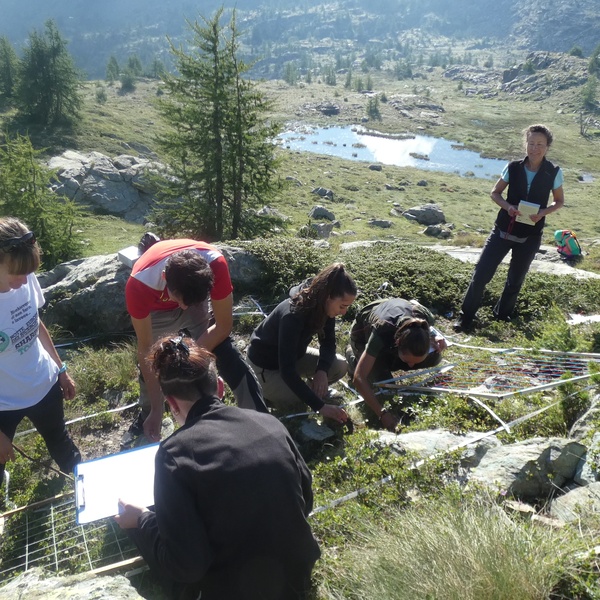 Study area on the site at an altitude of 2340 m, Mont Avic Natural Park, vegetation surveying operations in one of the 3mx3m plot clusters.