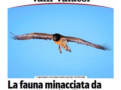 Eco delle Valli Valdesi