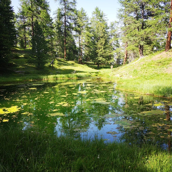 ZSC Lago Nero