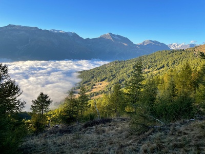 Parco naturale del Gran Bosco di Salbertrand