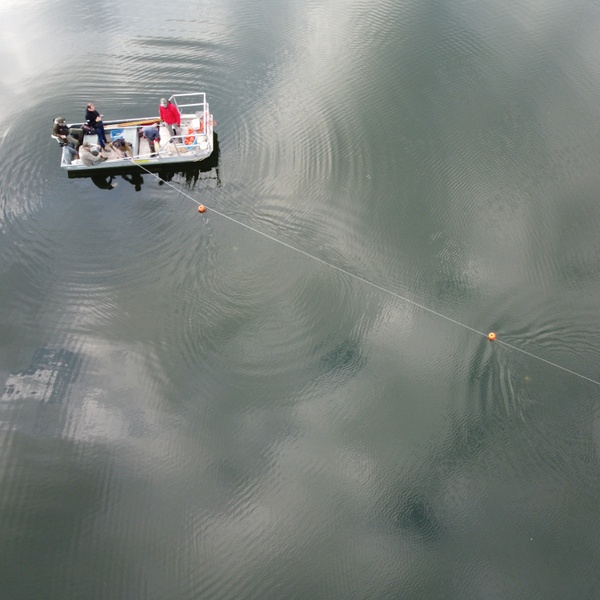 The placement of longlines during scientific fishing activities.