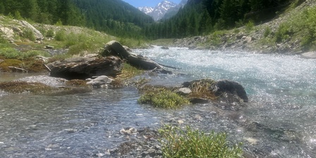 Torrente Chisone