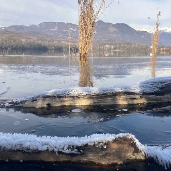 Jeudi 8 janvier 2026. Au sommet de la vague de froid, on remarque une faible présence de glace sur le Lac Petit d\u0027Avigliana.