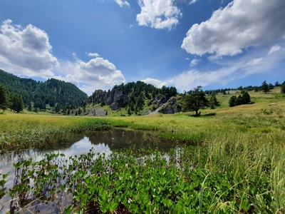 ZSC Cima Fournier Black Lake