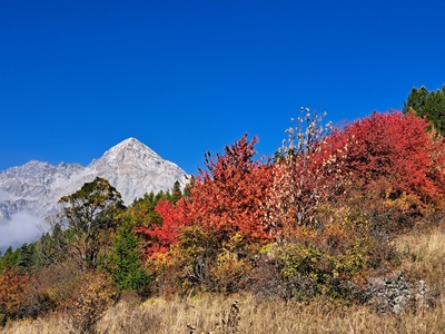 Autunno nella ZSC CHamplas Colle del Sestriere