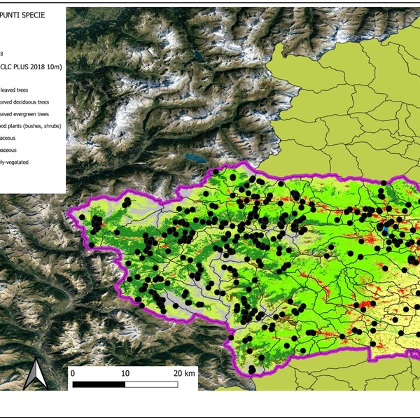 The map of the study area with the indication of the observation points.