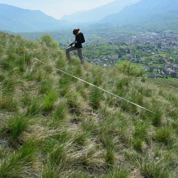 Rilievi di monitoraggio delle orchidee