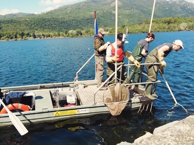 Activités de pêche électrique sur le Grand Lac d\u0027Avigliana.