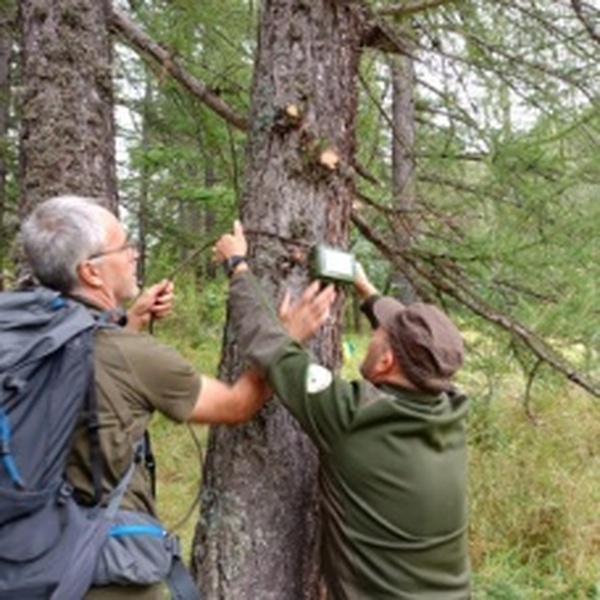Sistemazione Bat detector