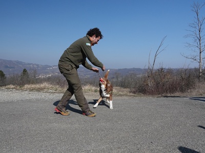 Lorenzo Brino and Maya during a game activity that is used as a reward after work sessions.