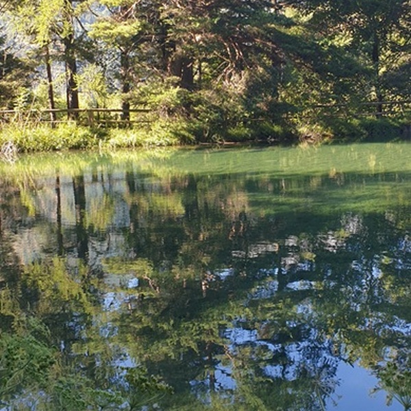 Lago ghiacciaia