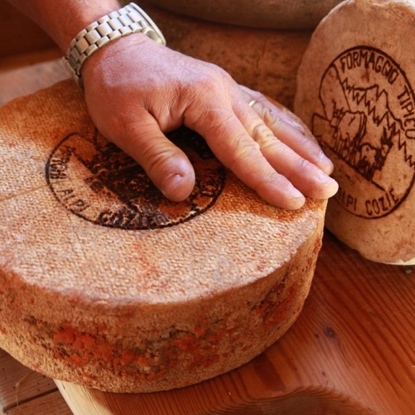 Enogastronomia