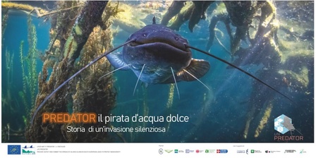 Mostra: PREDATOR, il pirata d\u0027acqua dolce: storia di un\u0027invasione silenziosa