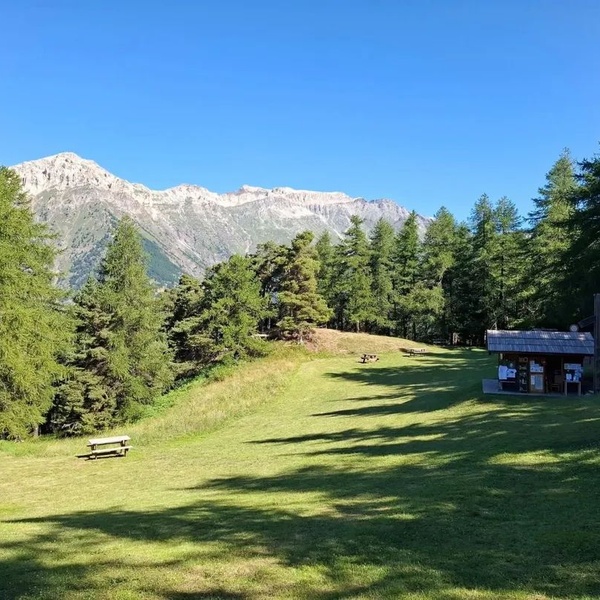 Ser Blanc
